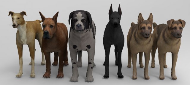 6 Dog Pack - Rigged 3D Model .c4d .max .obj .3ds .fbx .stl .blend 