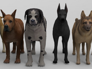 6 Dog Pack - Rigged 3D Model