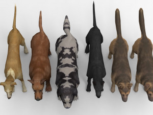 6 Dog Pack - Rigged 3D Model
