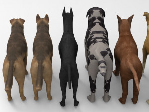 6 Dog Pack - Rigged 3D Model