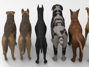 6 Dog Pack - Rigged 3D Model