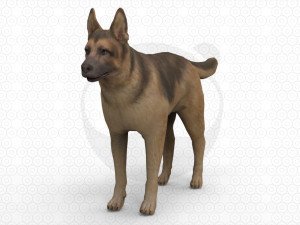 6 Dog Pack - Rigged 3D Model