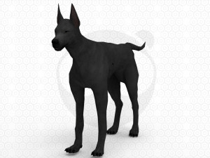6 Dog Pack - Rigged 3D Model