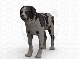 6 Dog Pack - Rigged 3D Model