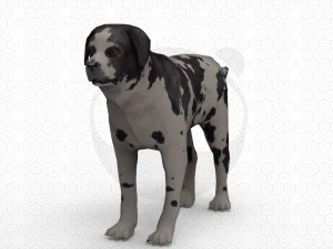 6 Dog Pack - Rigged 3D Model