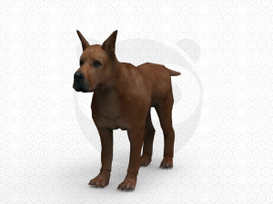 6 Dog Pack - Rigged 3D Model