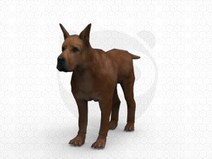 6 Dog Pack - Rigged 3D Model