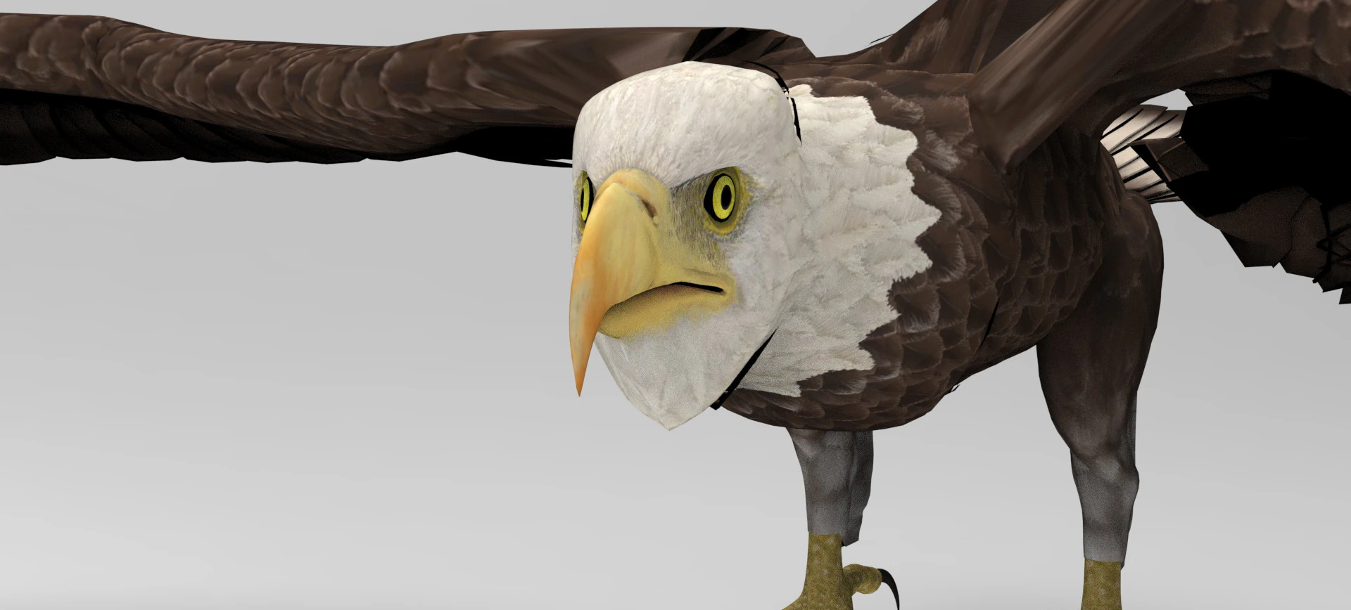 Eagle - Rigged - Animated model 3D Model .c4d .max .obj .3ds .fbx .stl .blend 