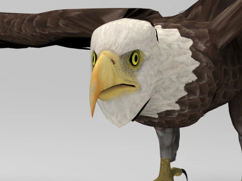 Орел - Rigged - Анімована модель 3D Модель