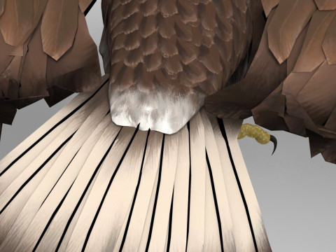 Eagle - Rigged - Animated model 3D 모델