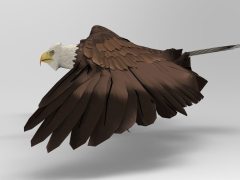 Eagle - Rigged - Animated model 3D 모델