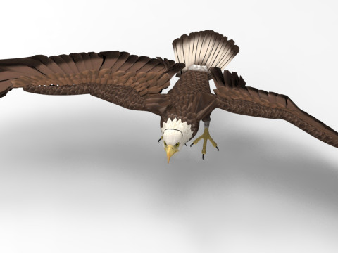 Eagle - Rigged - Animated model 3D 모델