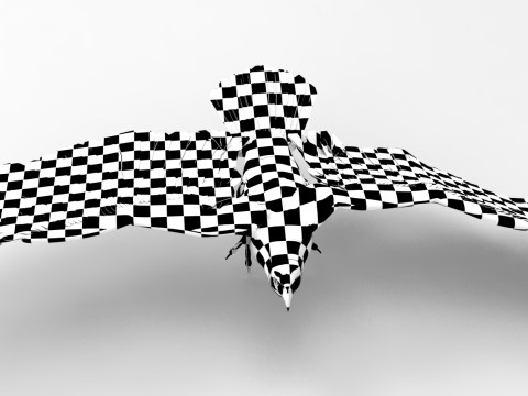 Eagle - Rigged - Animated model 3D 모델