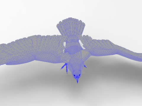Eagle - Rigged - Animated model 3D 모델