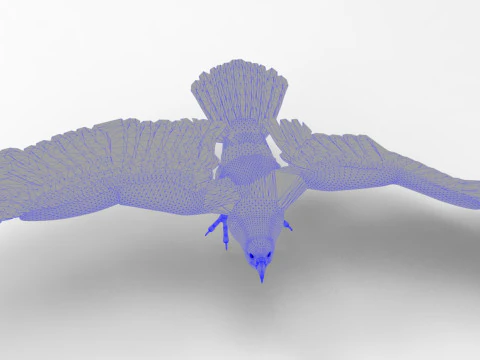 Eagle - Rigged - Animated model 3D Model