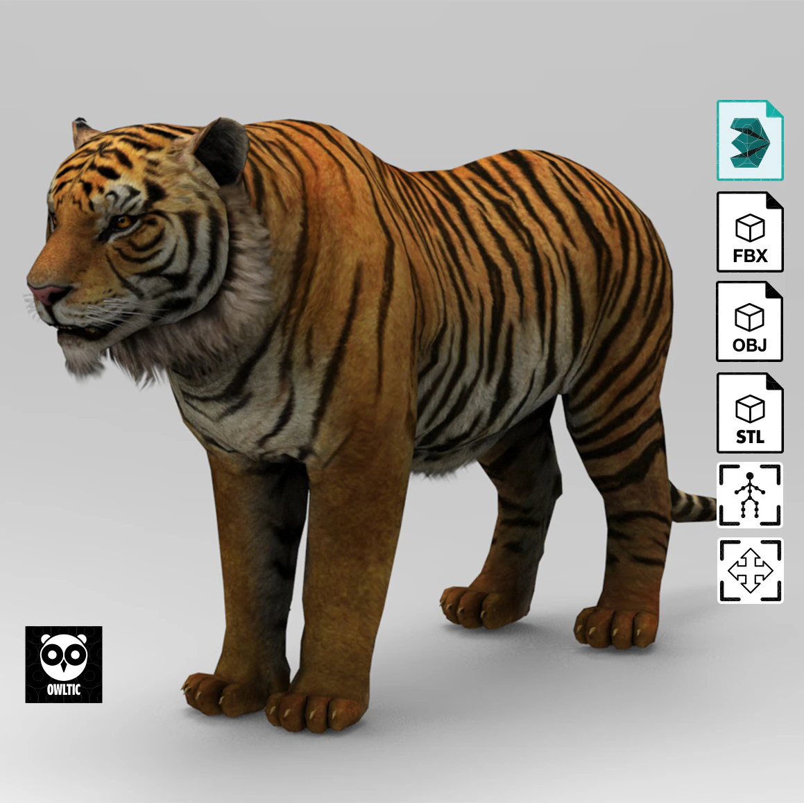 Tiger - Run style - Rigged - Animated 3D Model .c4d .max .obj .3ds .fbx .stl .blend