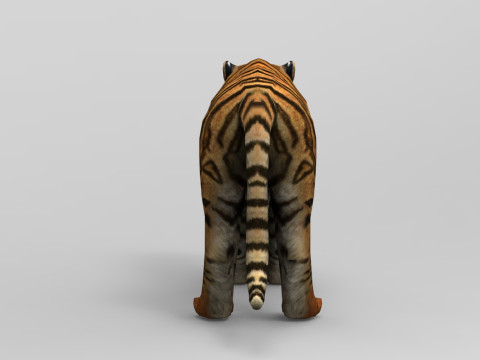 Tiger - Run style - Rigged - Animated 3D Model