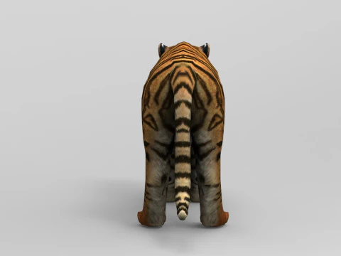 Tiger - Run style - Rigged - Animated 3D Model