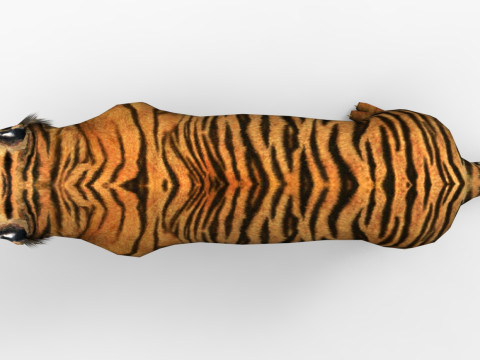Tiger - Run style - Rigged - Animated 3D Model