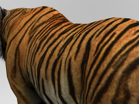 Tiger - Run style - Rigged - Animated 3D Model