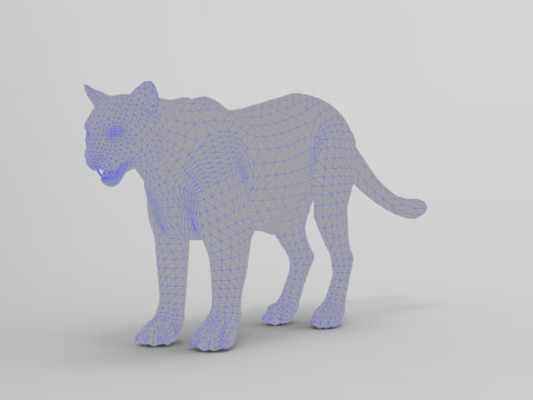 Cougar - Rigged Modelo 3D