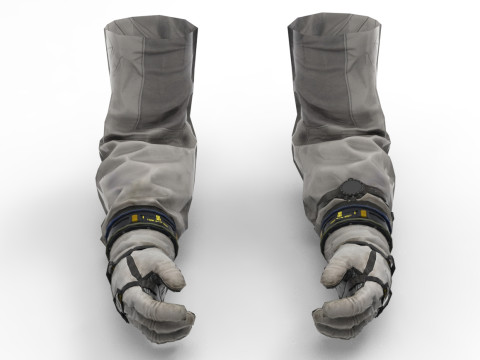 Hands Space View 3D Model