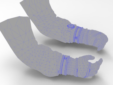 Hands Space View 3D Model