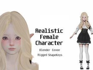 Elf - Ger&ccedil;ek&ccedil;i Kadın Karakter - Blender Eevee 3D Model