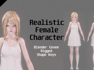Casual Clothing 0001 - Realistic Female Character - Blender Eevee 3Dモデル
