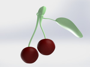 Cherry 3D 모델
