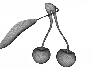 Cherry 3D Model