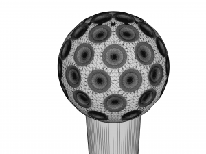 Salt and Pepper 3D Model