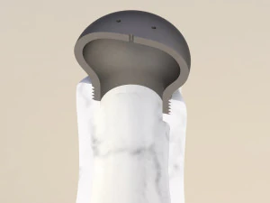 Salt and Pepper 3D Model