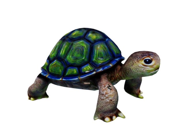 Turtle 3D Model .c4d .max .obj .3ds .fbx .stl .blend