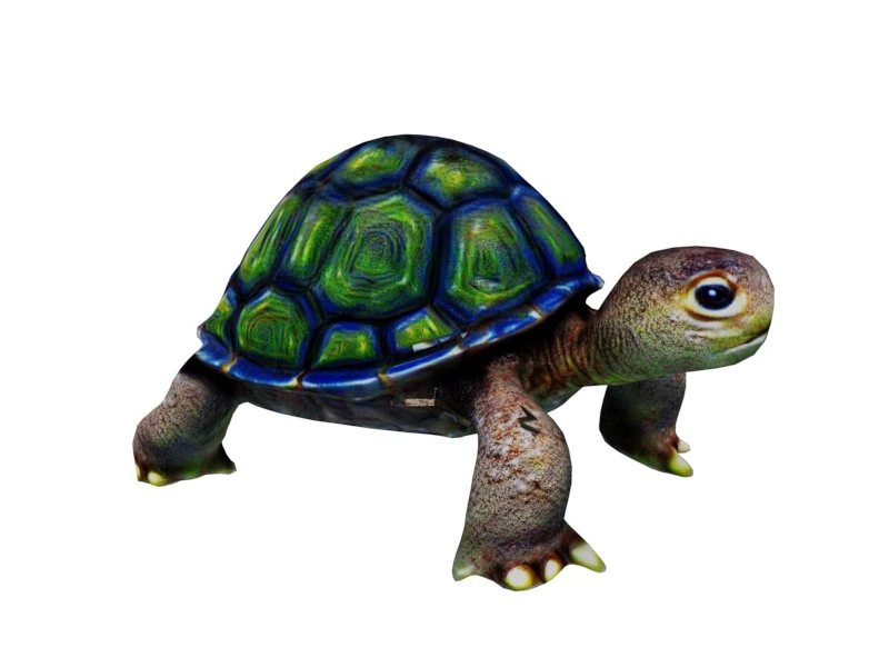 Turtle 3D Model .c4d .max .obj .3ds .fbx .stl .blend 