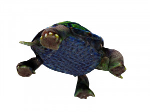 Turtle 3D Model