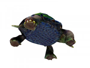 Turtle 3D Model