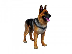 German Shepherd 3D Model