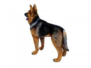 German Shepherd 3D Model