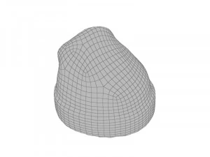 Beanie 3D Model