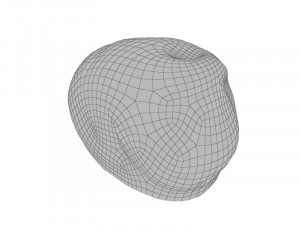 Beanie 2 Modello 3D