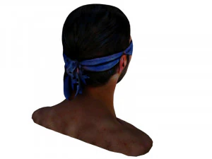 Blindfold 3D Model