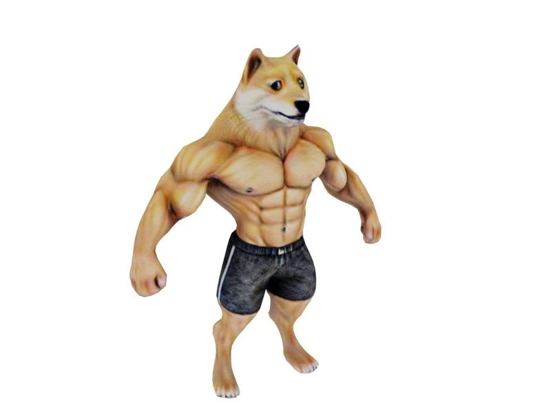 Bodybuilder doge 3D Model .c4d .max .obj .3ds .fbx .stl .blend 