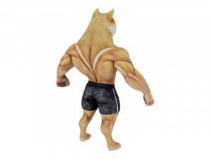 Bodybuilder doge Model 3D