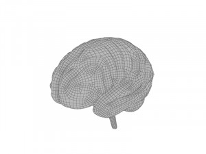 Brain Modelo 3D