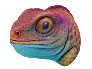 Chameleon head 3D Model