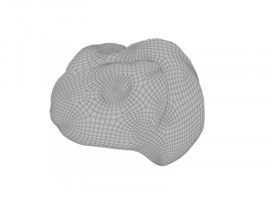 Chameleon head 3D Model