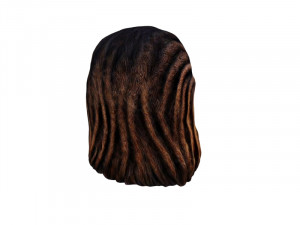 Chewbacca head 3D 模型