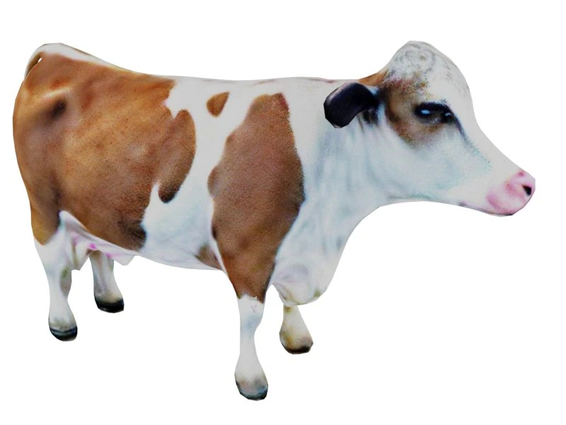 Cow 3D Model .c4d .max .obj .3ds .fbx .stl .blend