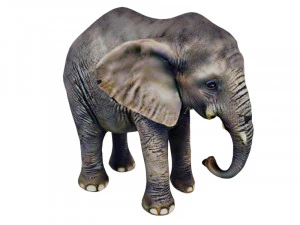 Elefantino Modello 3D
